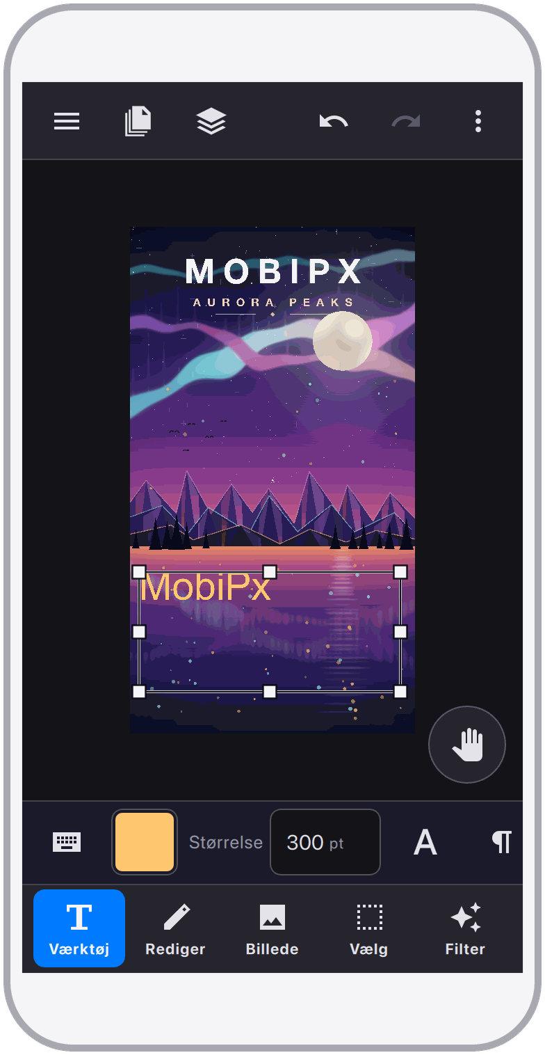 Skærmbillede 12